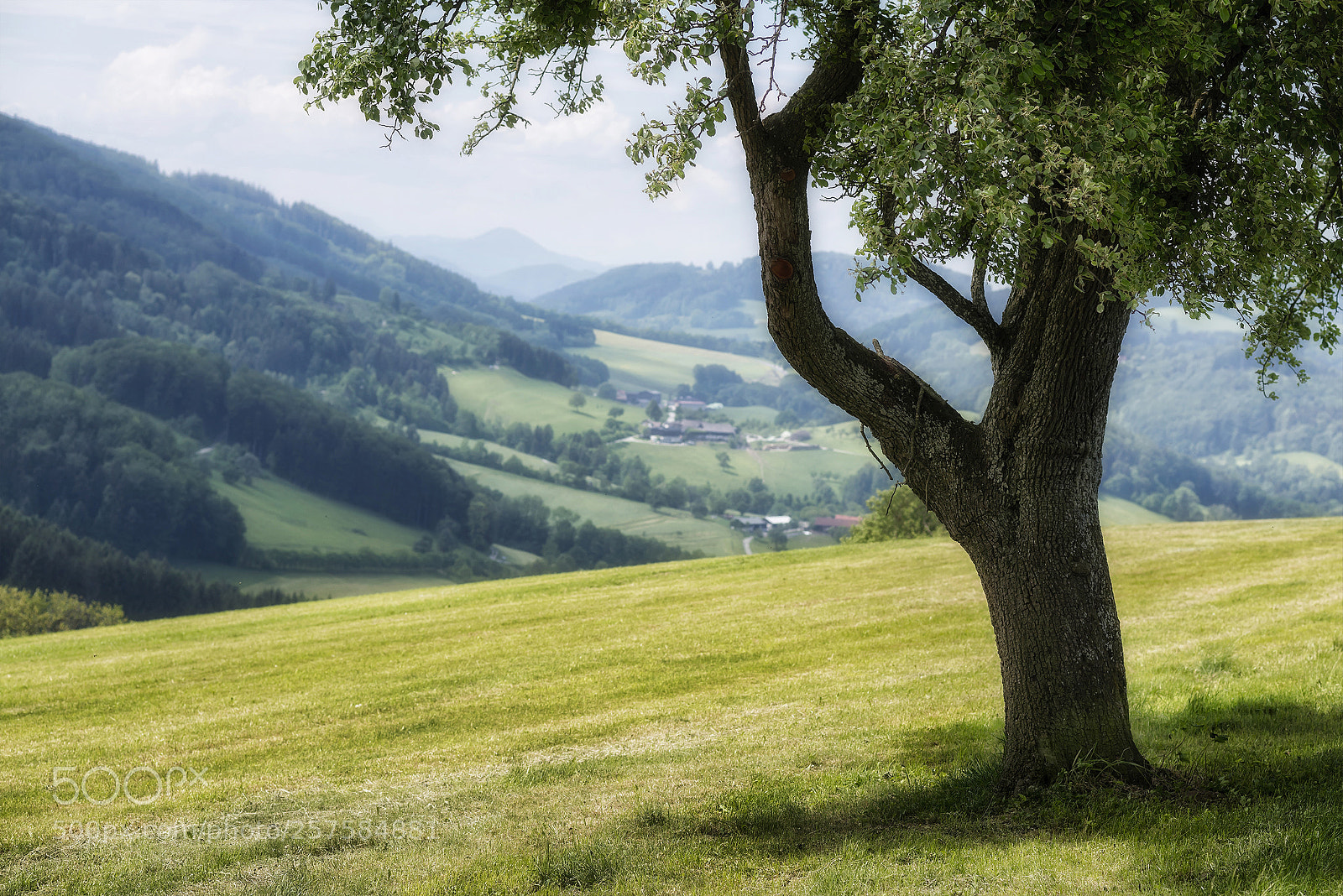 Nikon D810 sample photo. A day in may photography