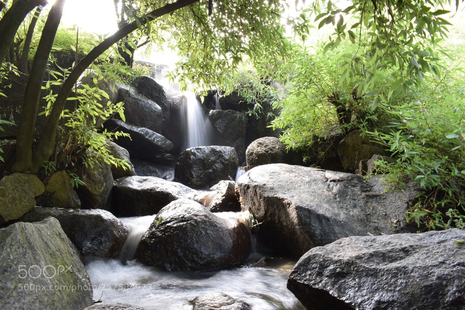 Nikon D5300 sample photo. Dsc photography