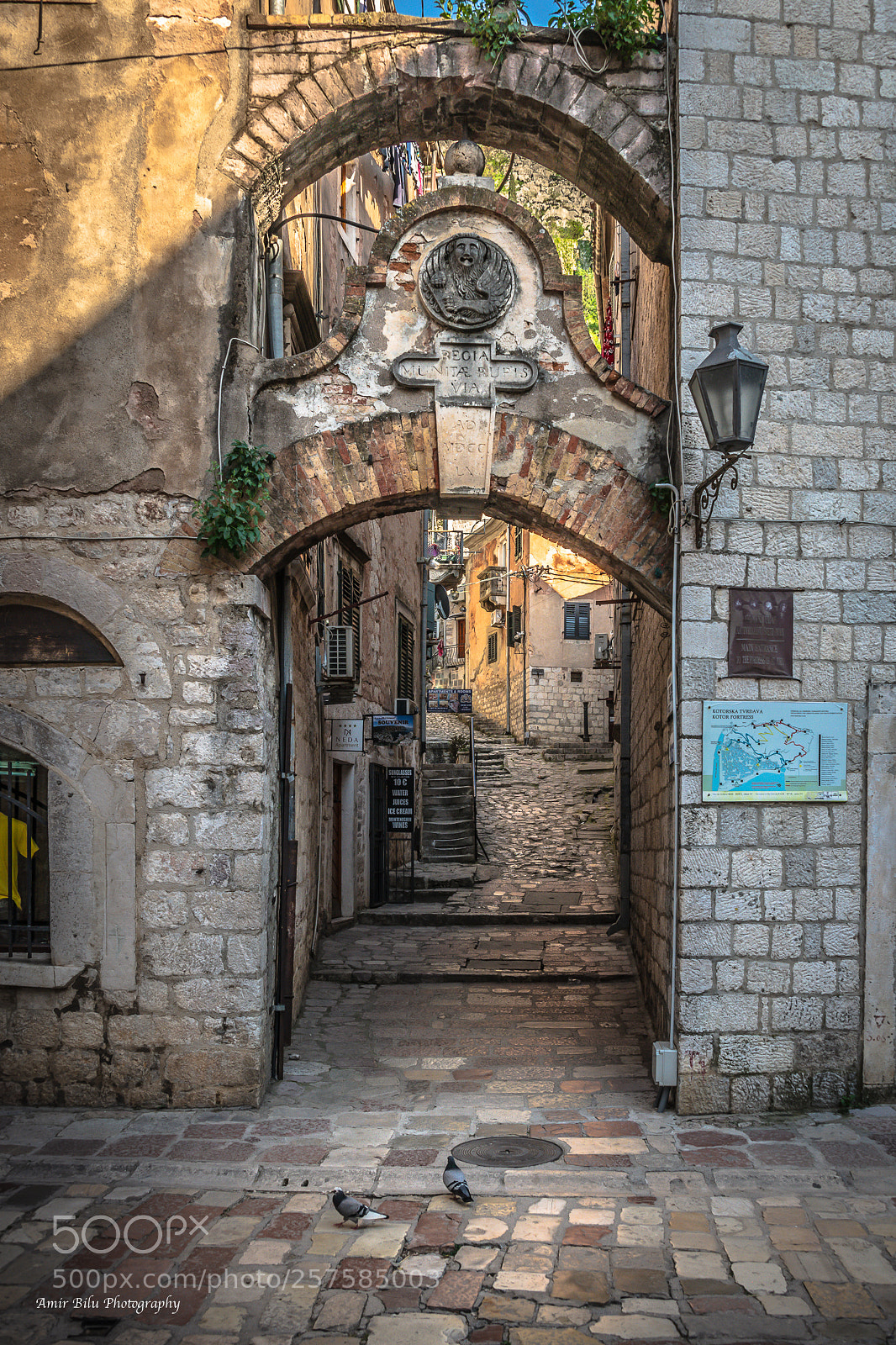 Nikon D850 sample photo. Street photography kotor montenegro photography
