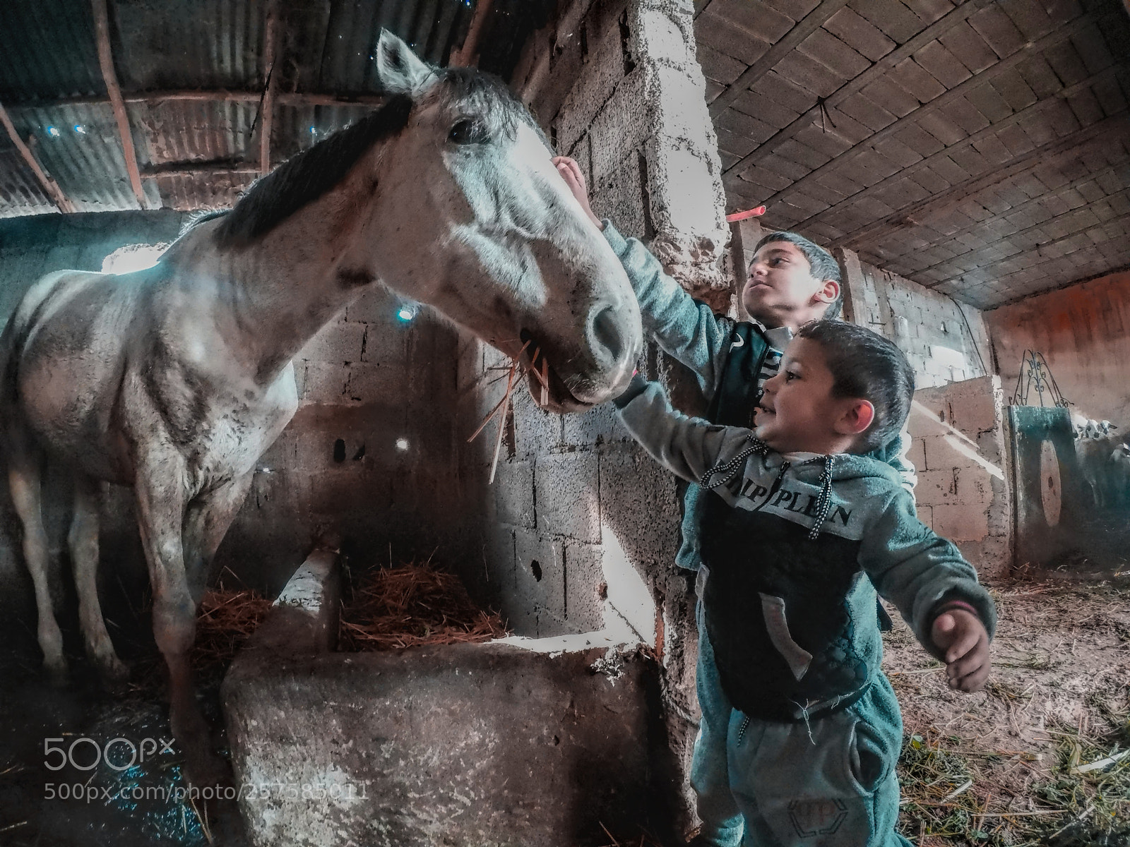 GoPro Hero5 Black sample photo. Be nice photography