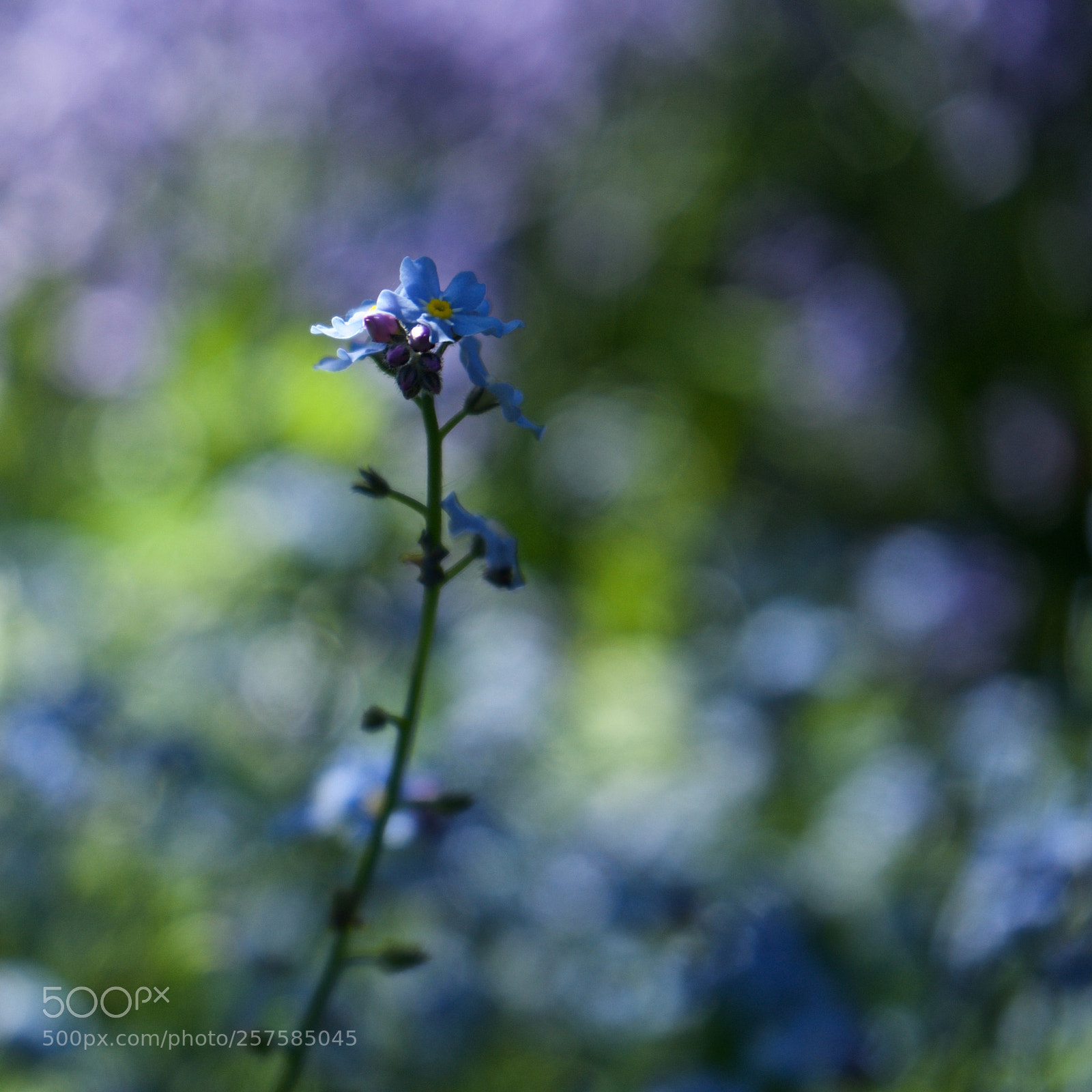 Sony a7 sample photo. Mostly abstract photography