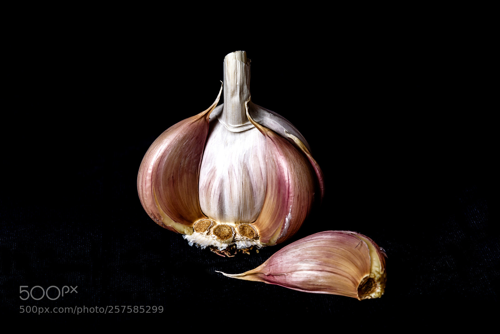 Nikon D750 sample photo. Garlic 4 photography