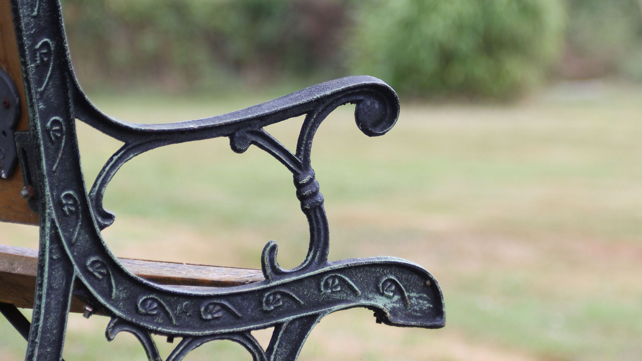 Canon EF 70-300mm F4-5.6 IS USM sample photo. Banc photography