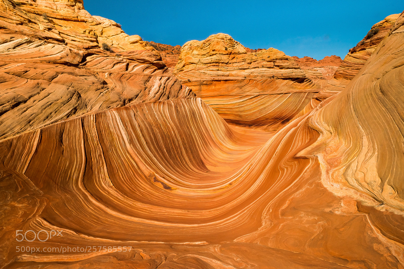 Canon EOS 70D sample photo. The wave photography
