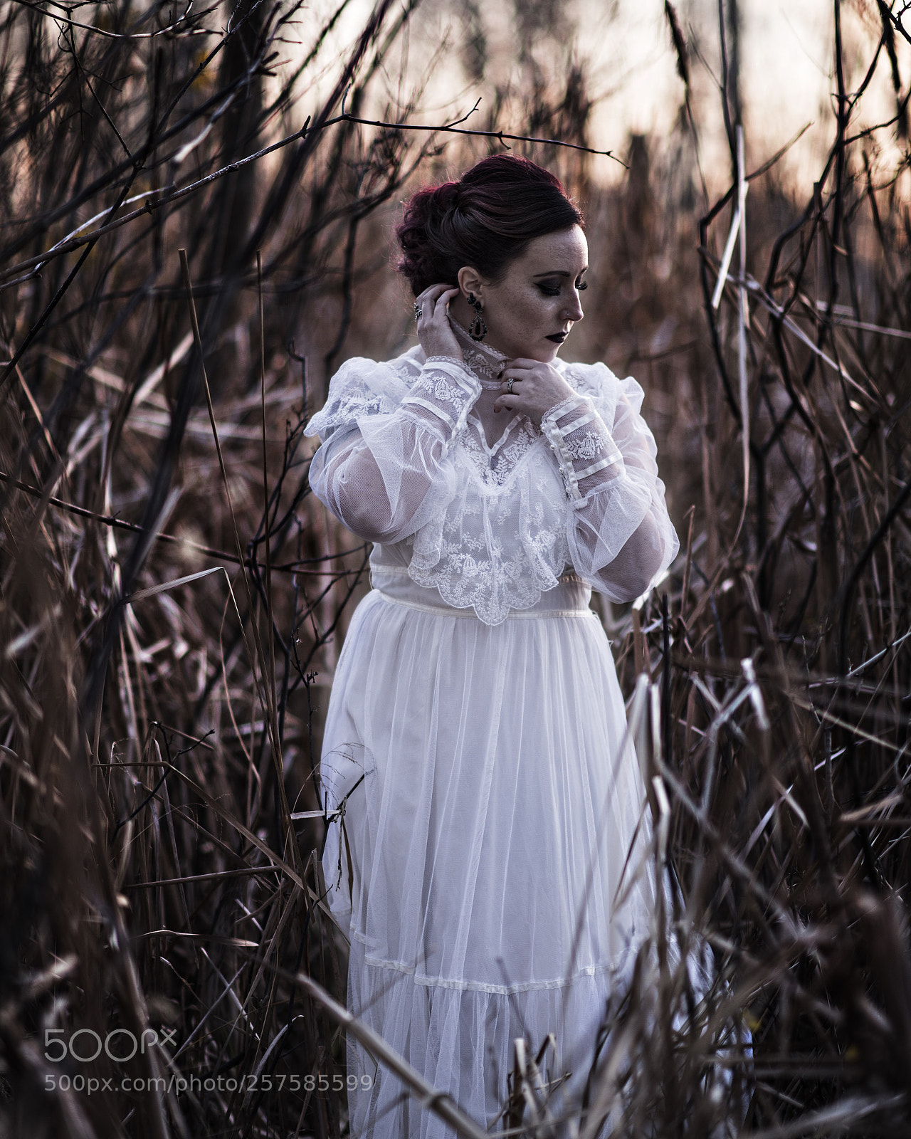 Nikon D750 sample photo. Erica photography