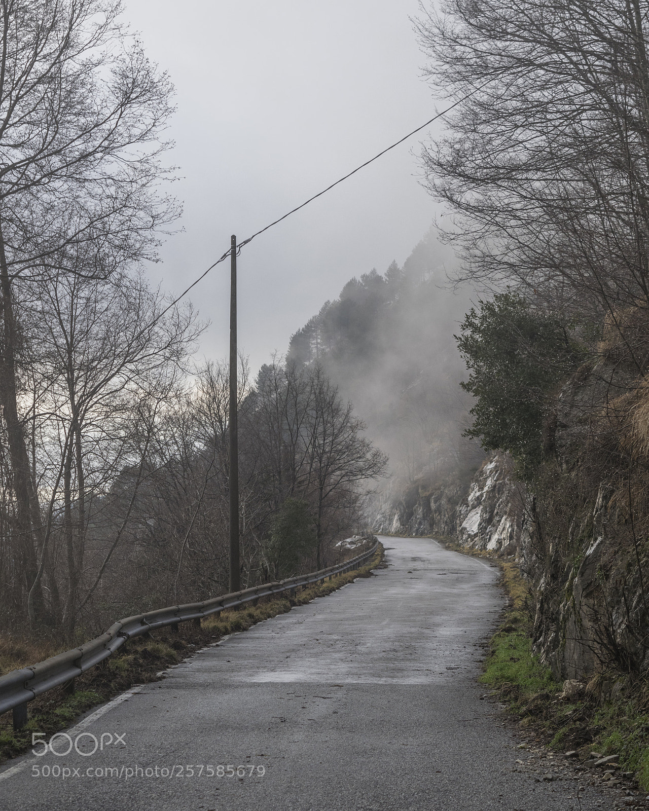 Nikon D3300 sample photo. Foggy street photography