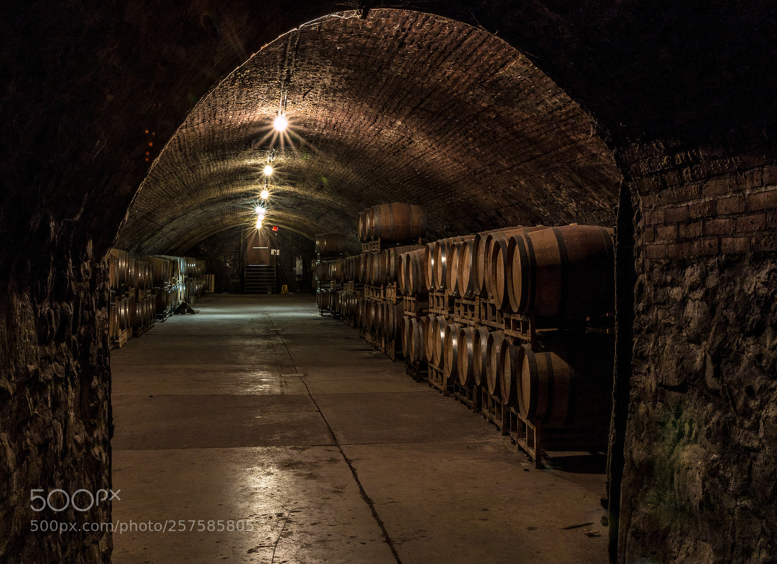 Canon EOS 70D sample photo. Wine cellar photography