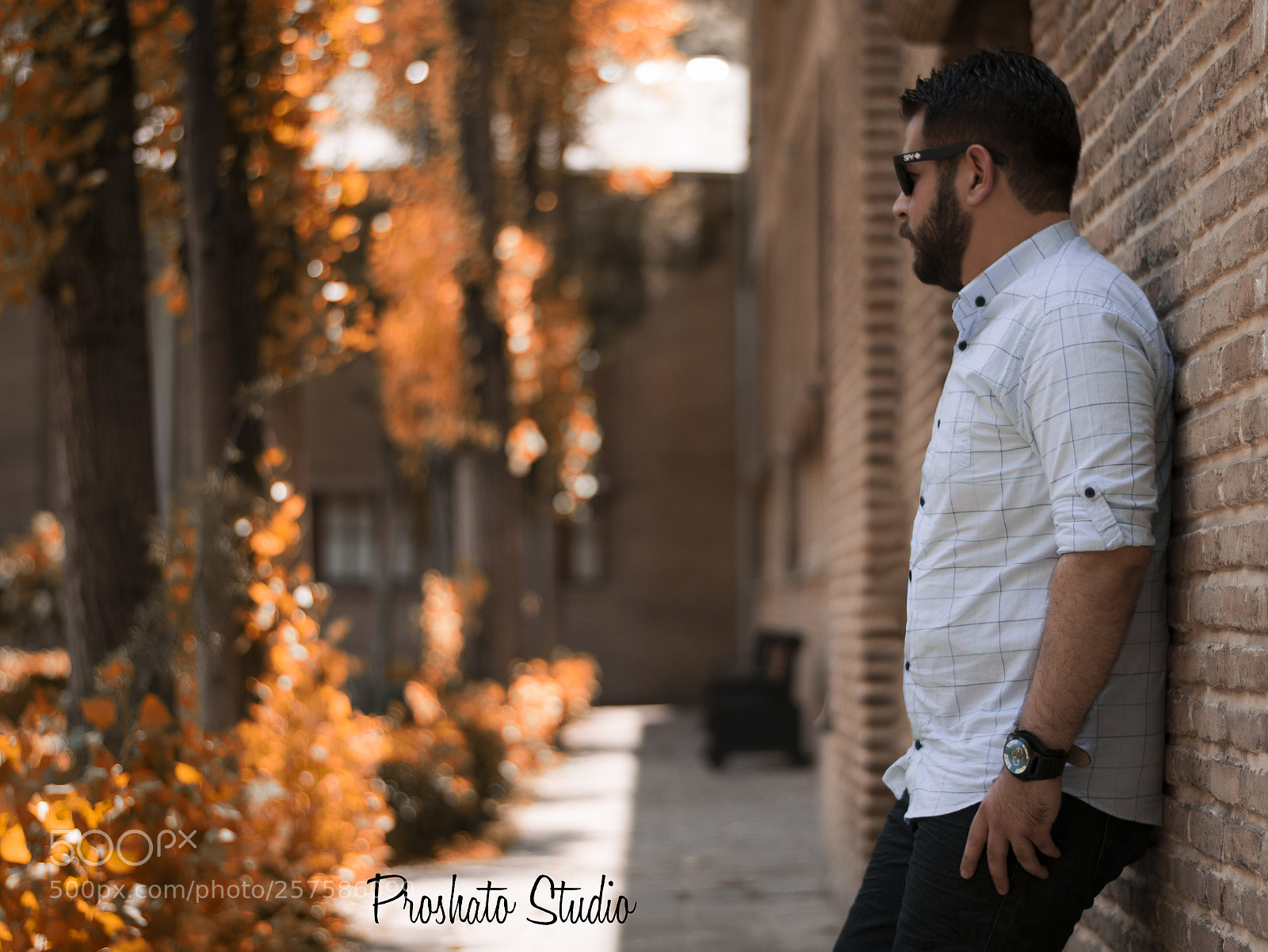 Nikon D3300 sample photo. Untitled photography