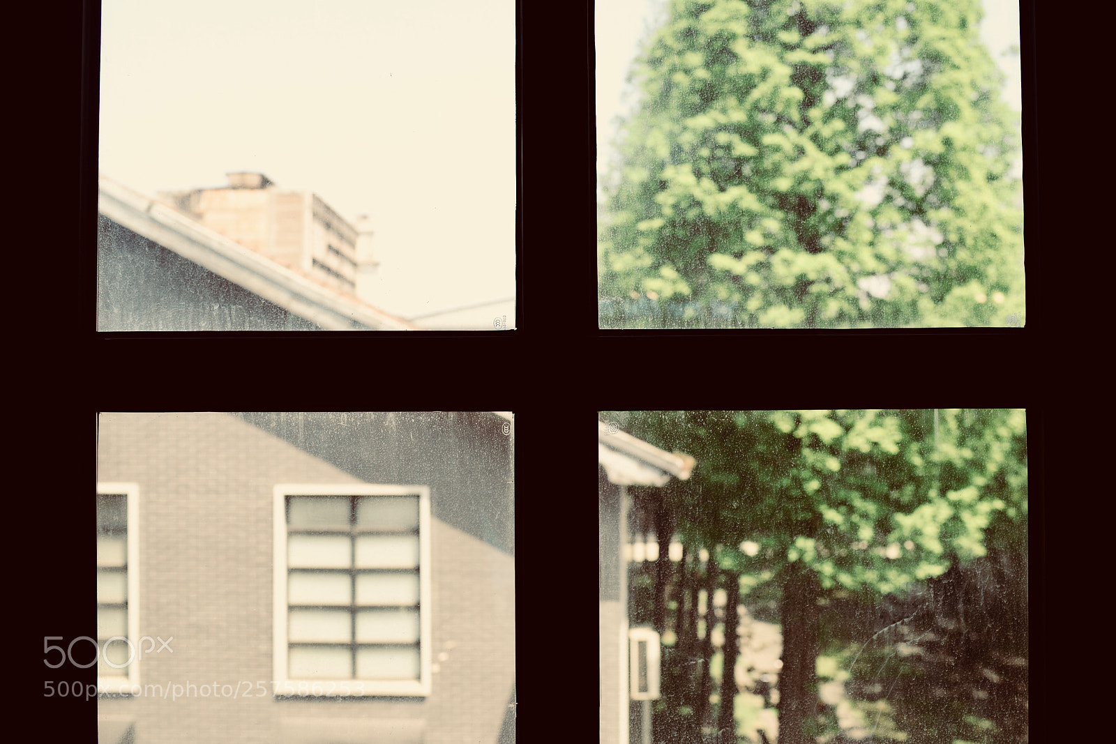 Nikon D610 sample photo. 十 photography