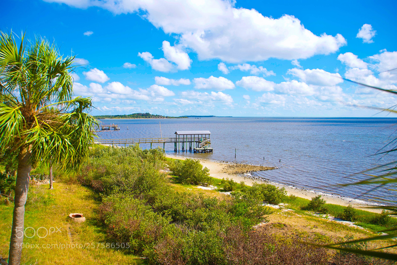 Nikon D60 sample photo. Cedar kay view photography