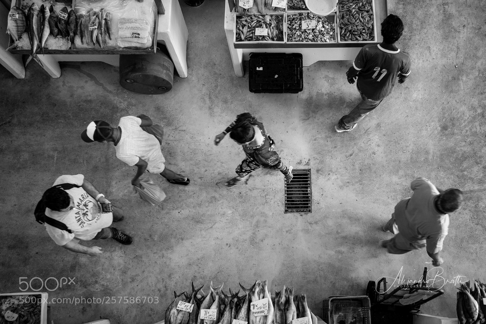 Sony a7R II sample photo. Fish market in panama photography