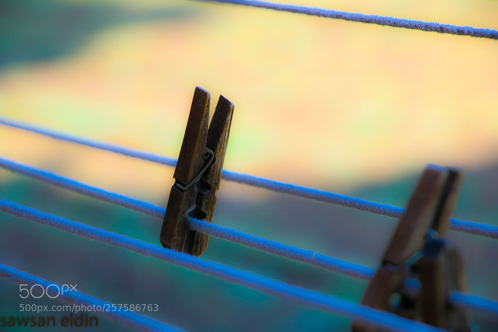 Canon EOS 70D sample photo. Untitled photography