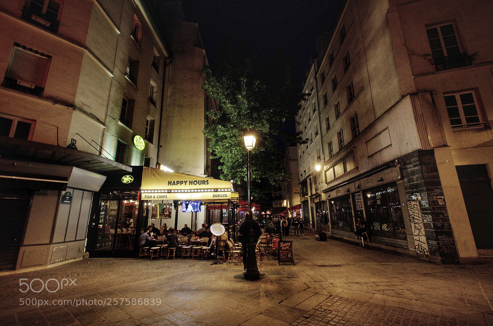 Nikon D5100 sample photo. May in paris #3 photography