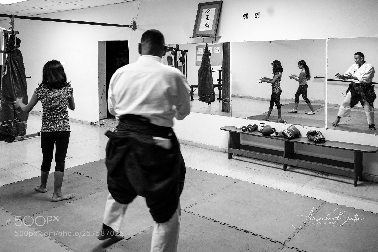 Sony a7R II sample photo. Alert photography