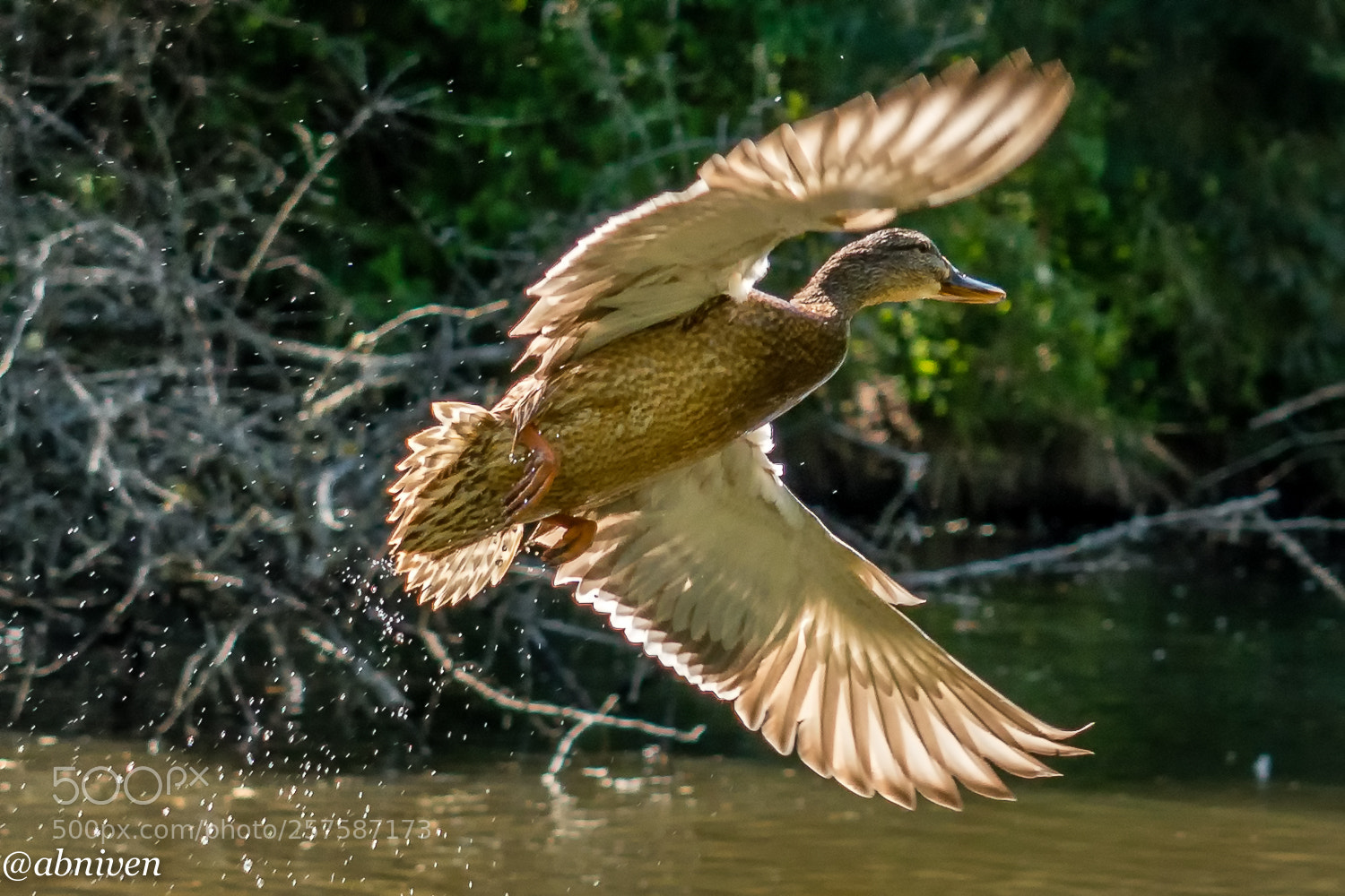 Sony a6300 sample photo. The flight path photography