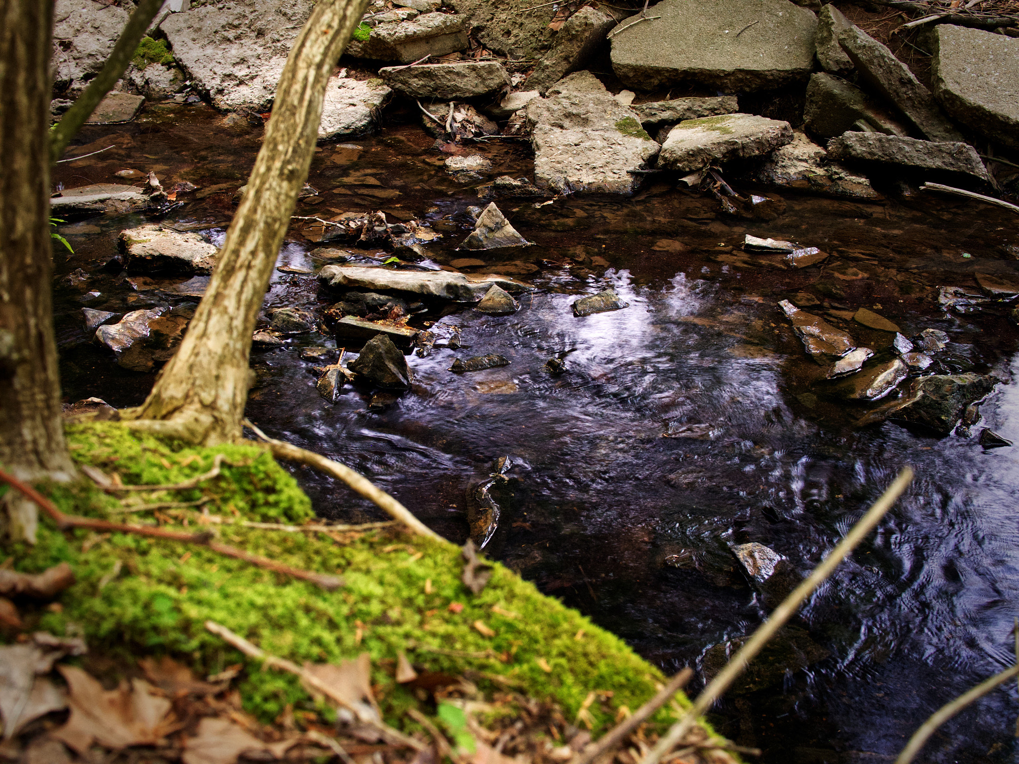 Olympus PEN E-PL5 sample photo. Creek photography