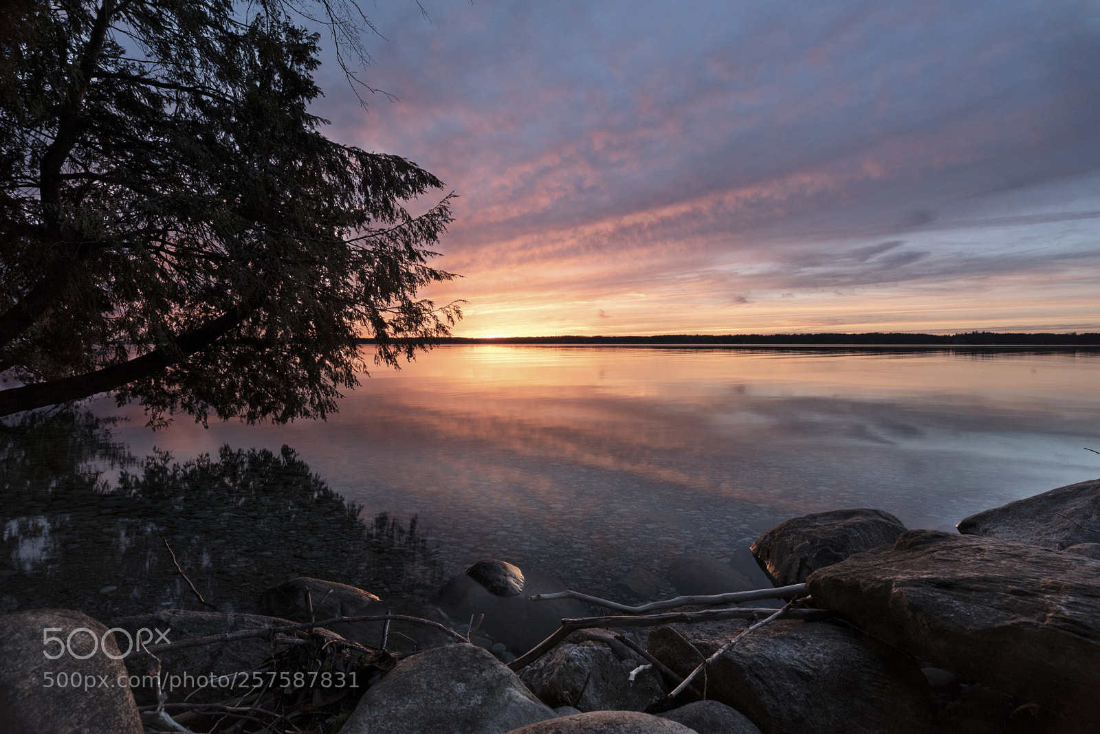 Nikon D750 sample photo. Sunset mist photography