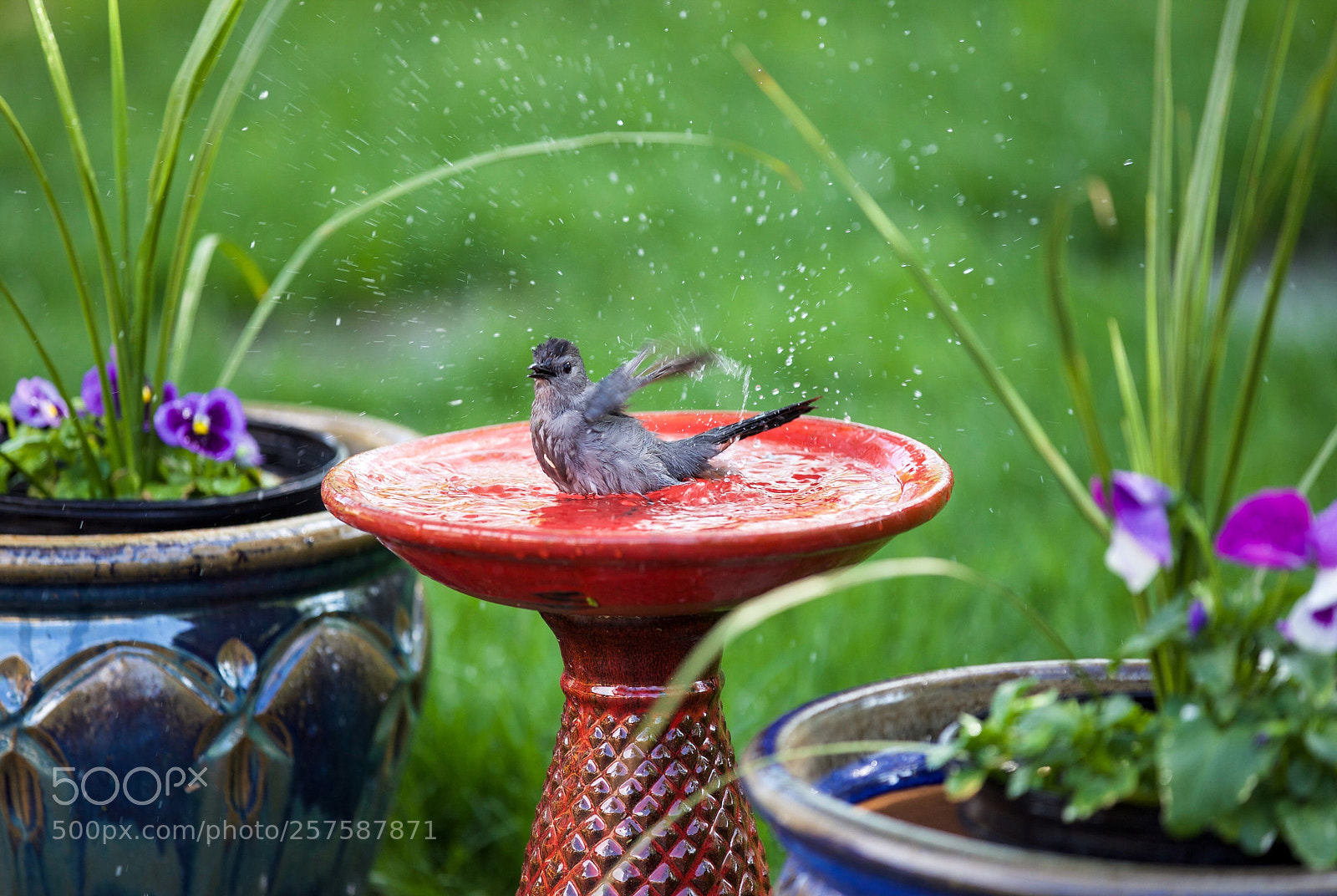 Canon EOS 6D sample photo. Untitled photography