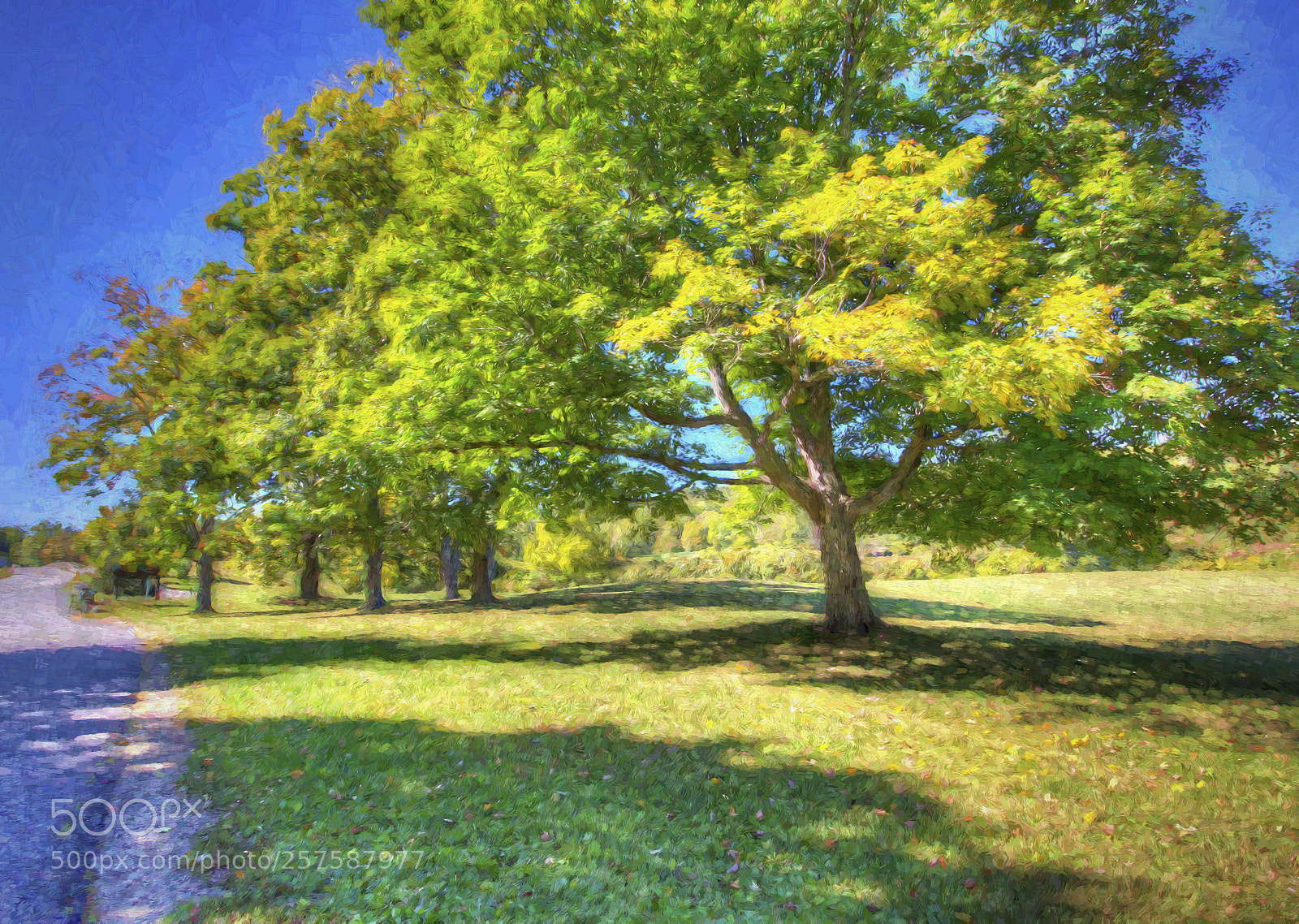 Canon EOS 60D sample photo. Sunny retreat photography