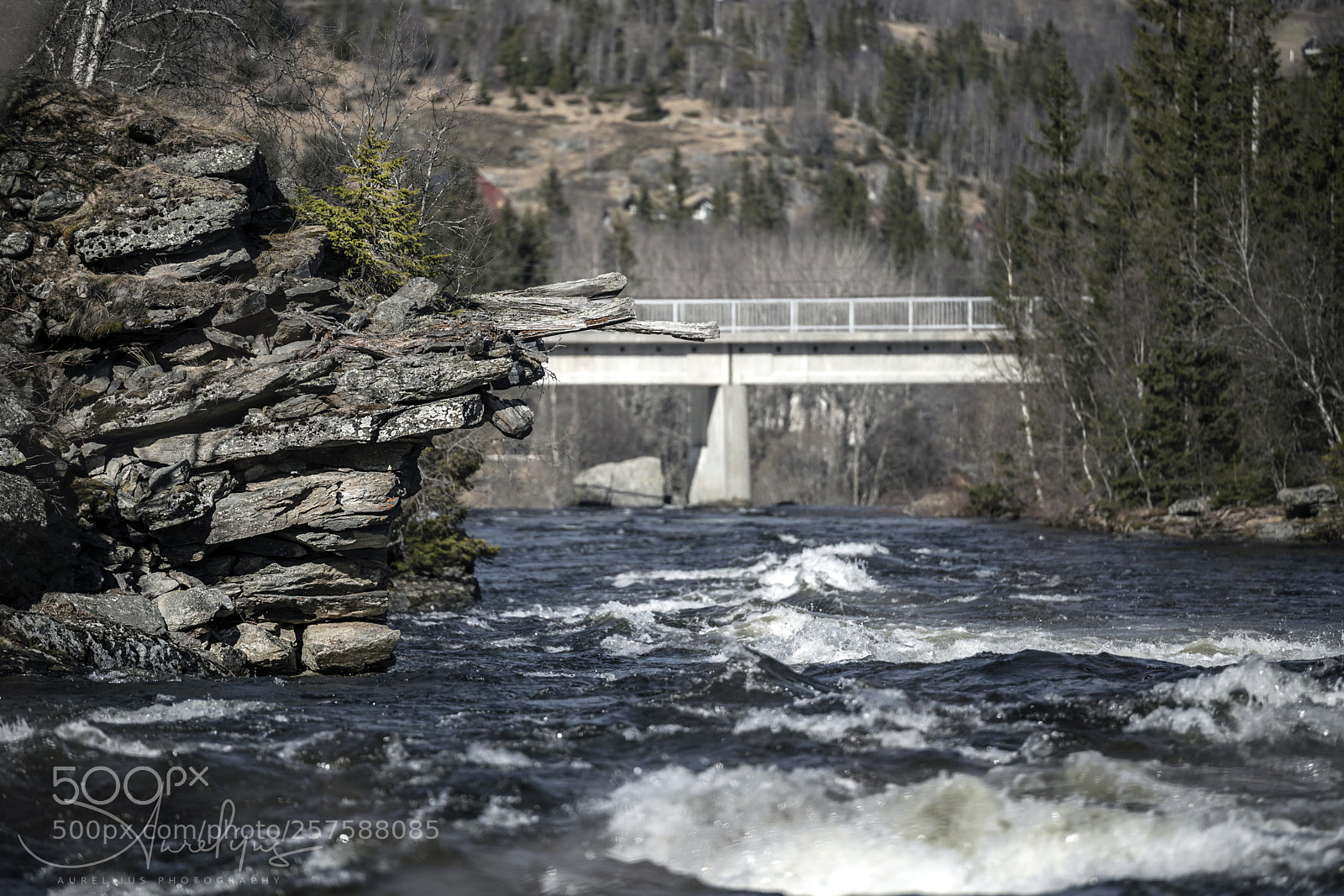 Canon EOS 6D Mark II sample photo. The hemsila photography
