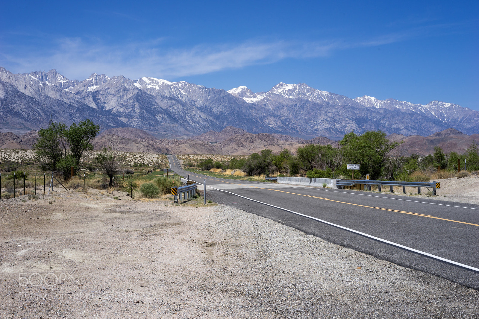 Sony a7 II sample photo. Bridge photography