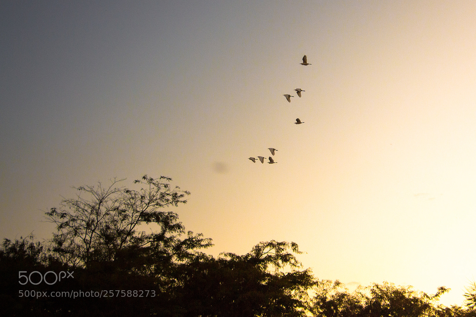 Canon EOS 700D (EOS Rebel T5i / EOS Kiss X7i) sample photo. The evening photography