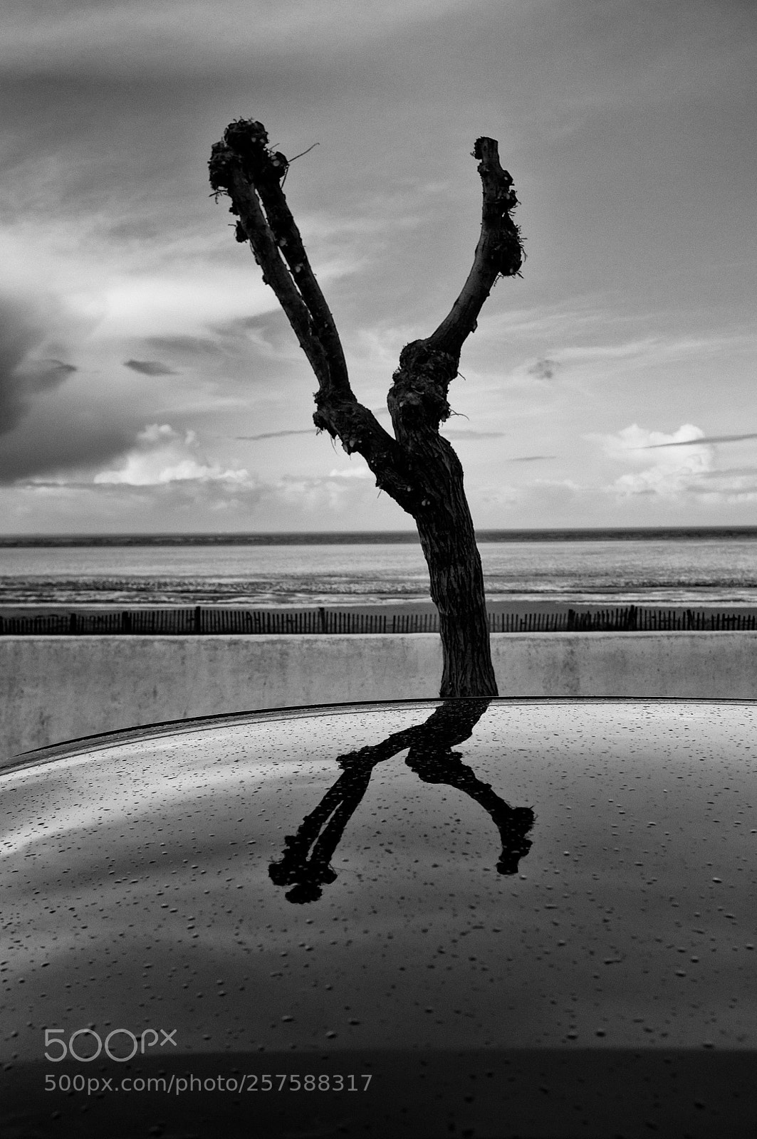Fujifilm FinePix X100 sample photo. Danse sur le toit  photography