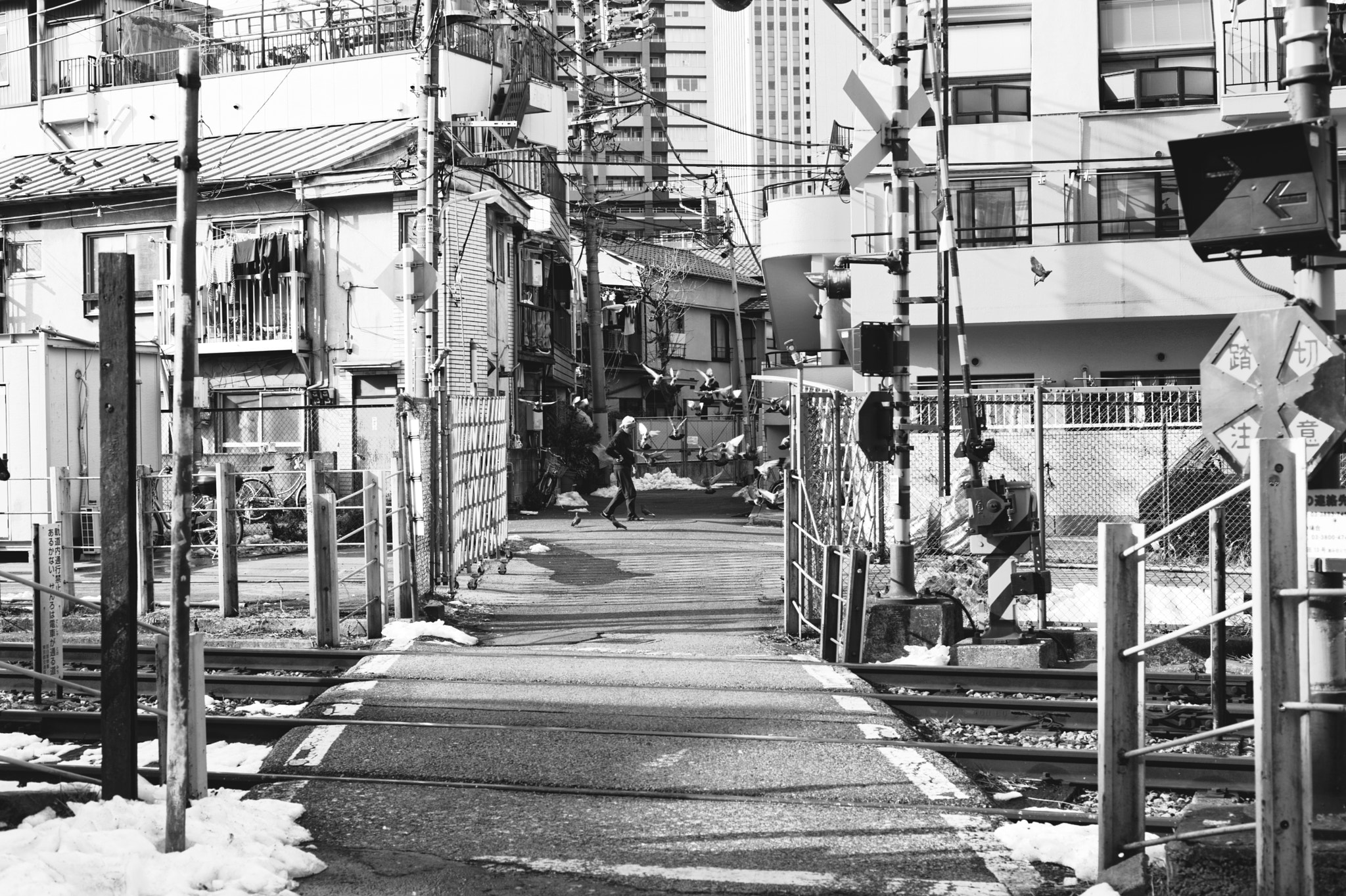 Nikon D750 + Nikon AF Nikkor 50mm F1.8D sample photo. I will leave that to your imagination#140 photography