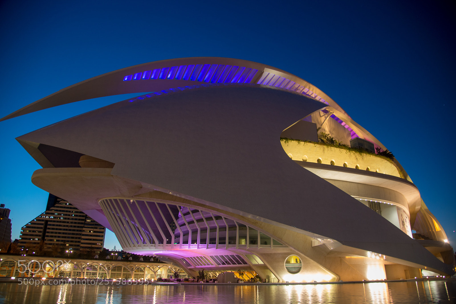 Nikon D610 sample photo. Valencian opera house photography