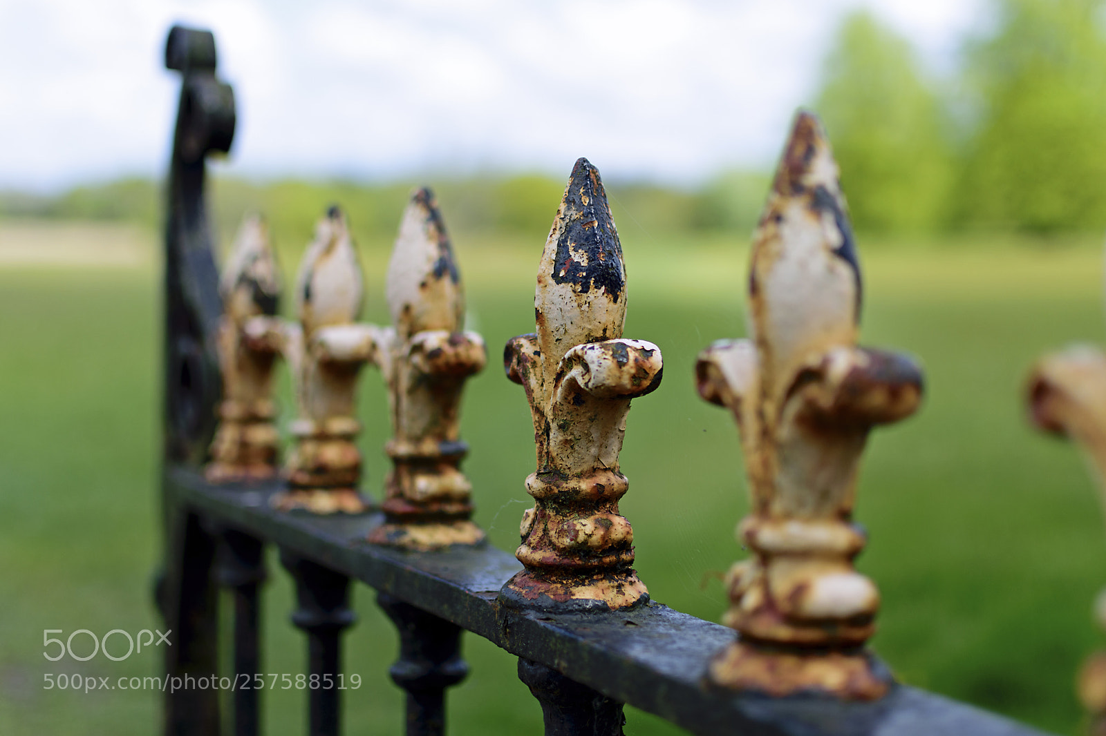 Nikon D3300 sample photo. The soldiers of the photography