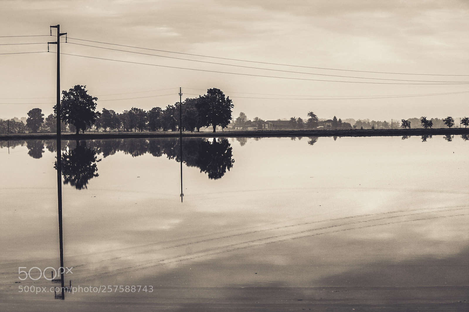Canon EOS 40D sample photo. Rice field reflection photography
