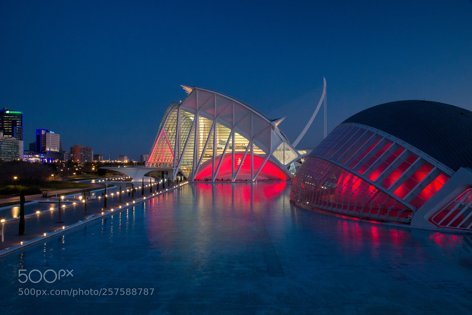 Nikon D610 sample photo. City of arts and photography