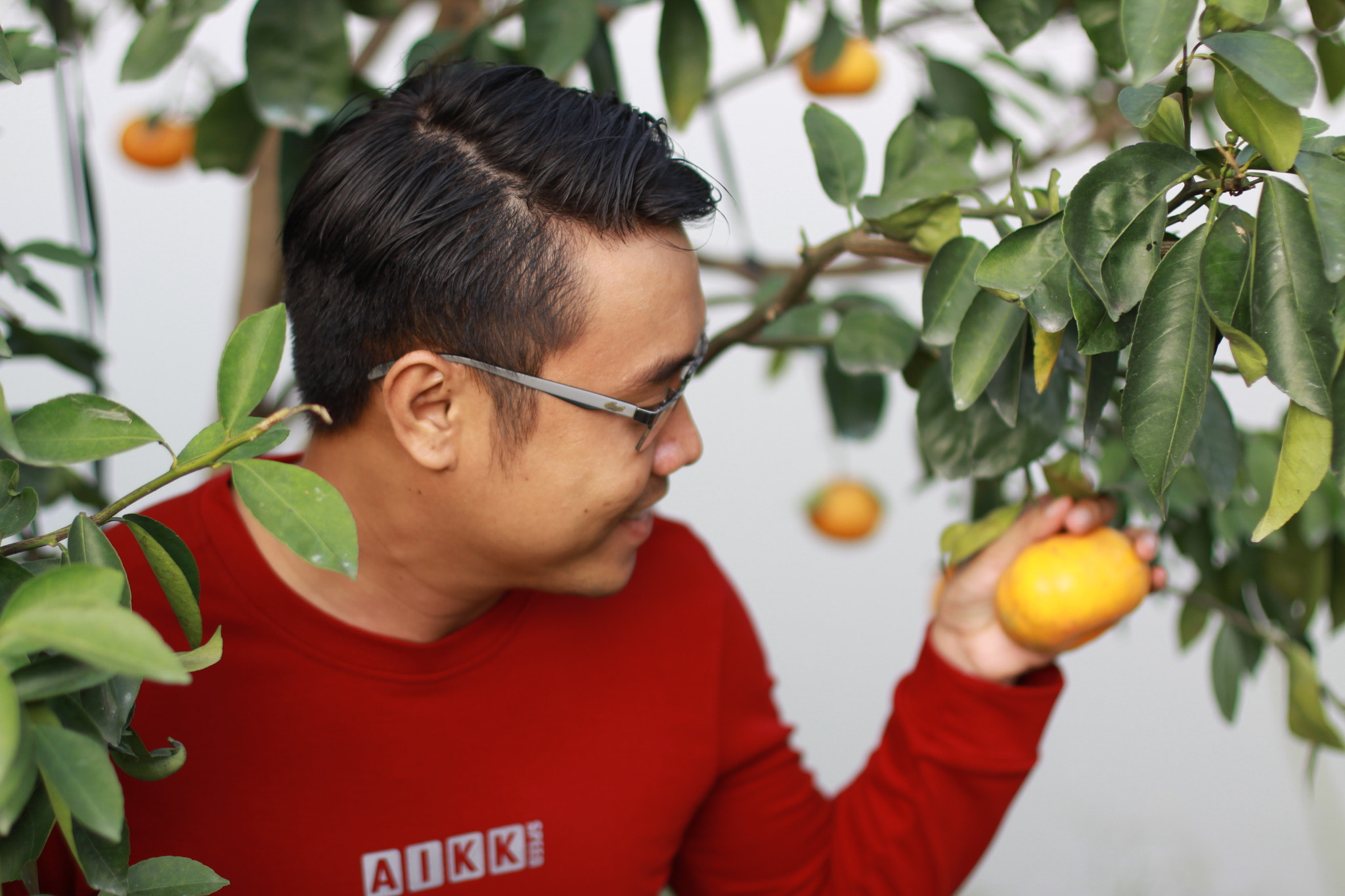 Canon EOS 50D + Canon EF 50mm F1.4 USM sample photo. Img photography