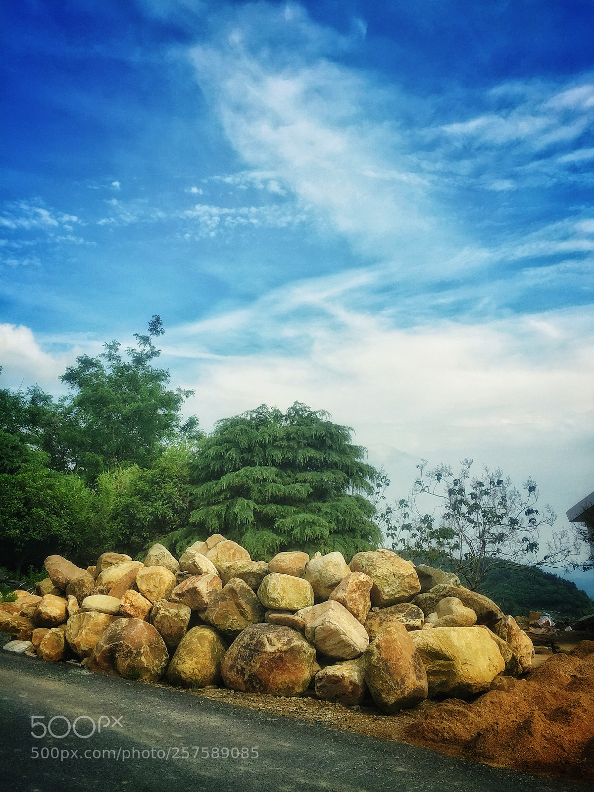 Apple iPhone 6 sample photo. Untitled photography