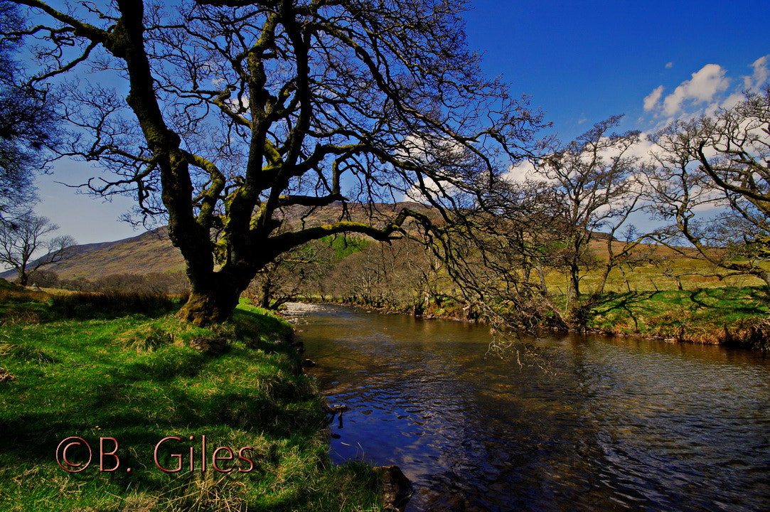 Sigma AF 10-20mm F4-5.6 EX DC sample photo. Cairngorms peace photography