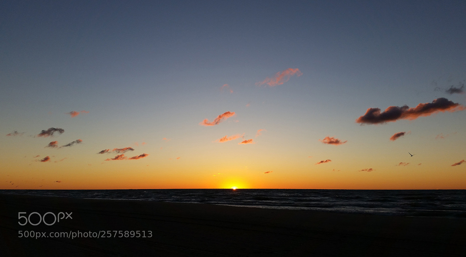 Samsung Galaxy S5 sample photo. Sunrise crest photography
