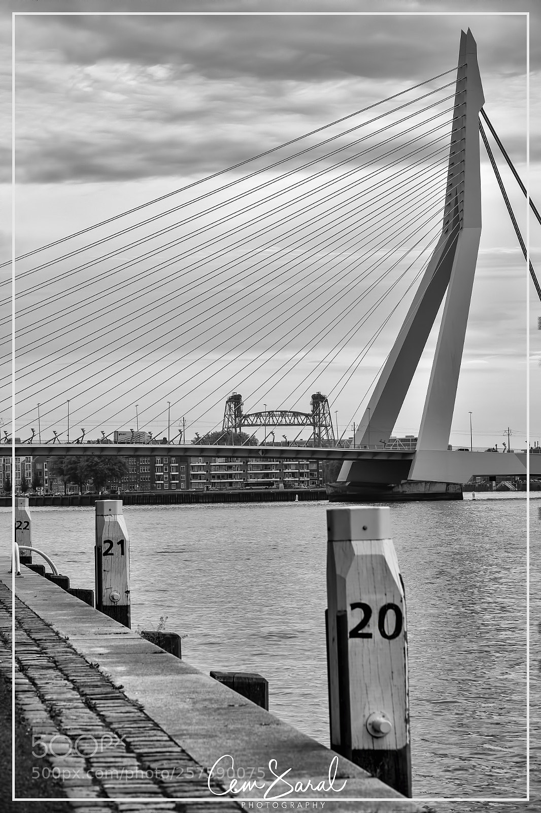 Sony Cyber-shot DSC-RX10 IV sample photo. Rotterdam erasmus bridge photography