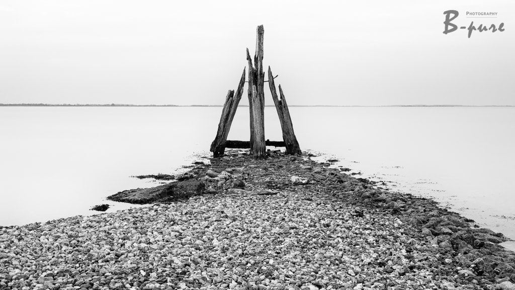 Nikon D500 sample photo. Zeeland photography