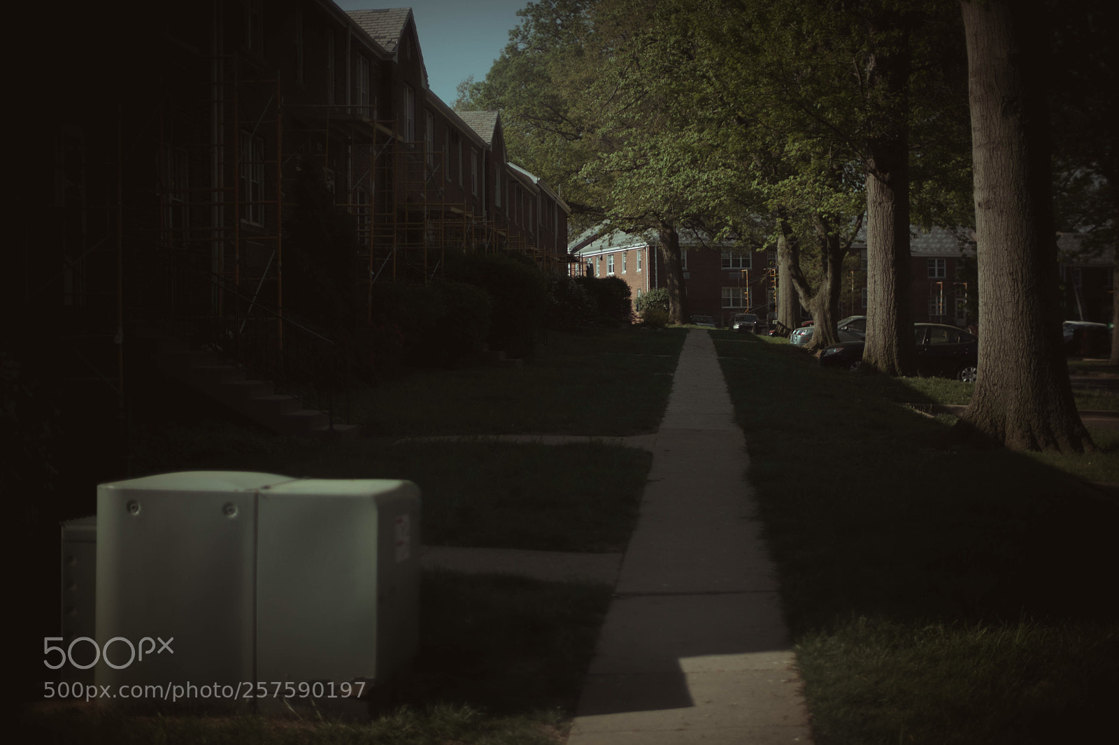Fujifilm X-Pro2 sample photo. My back yard photography