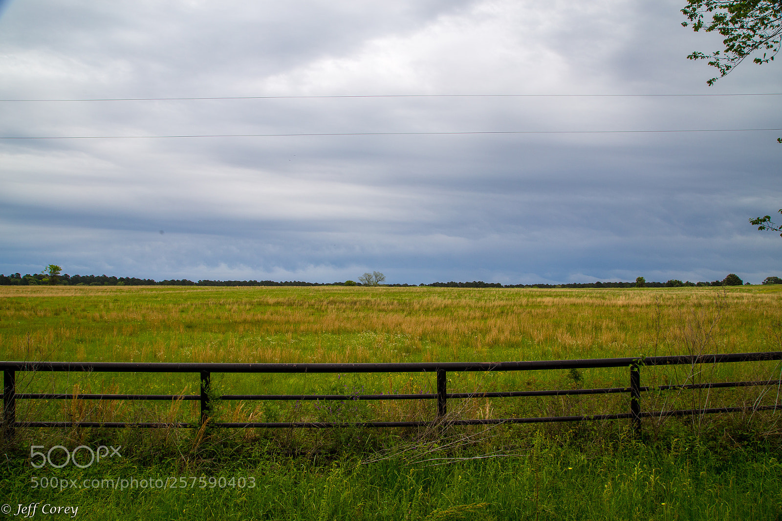 Canon EOS 6D sample photo. The spring colors of photography