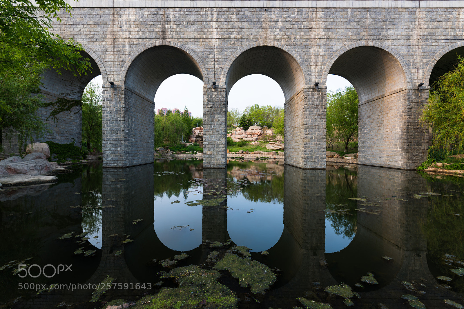 Nikon D810 sample photo. Bridge in neusoft campus photography