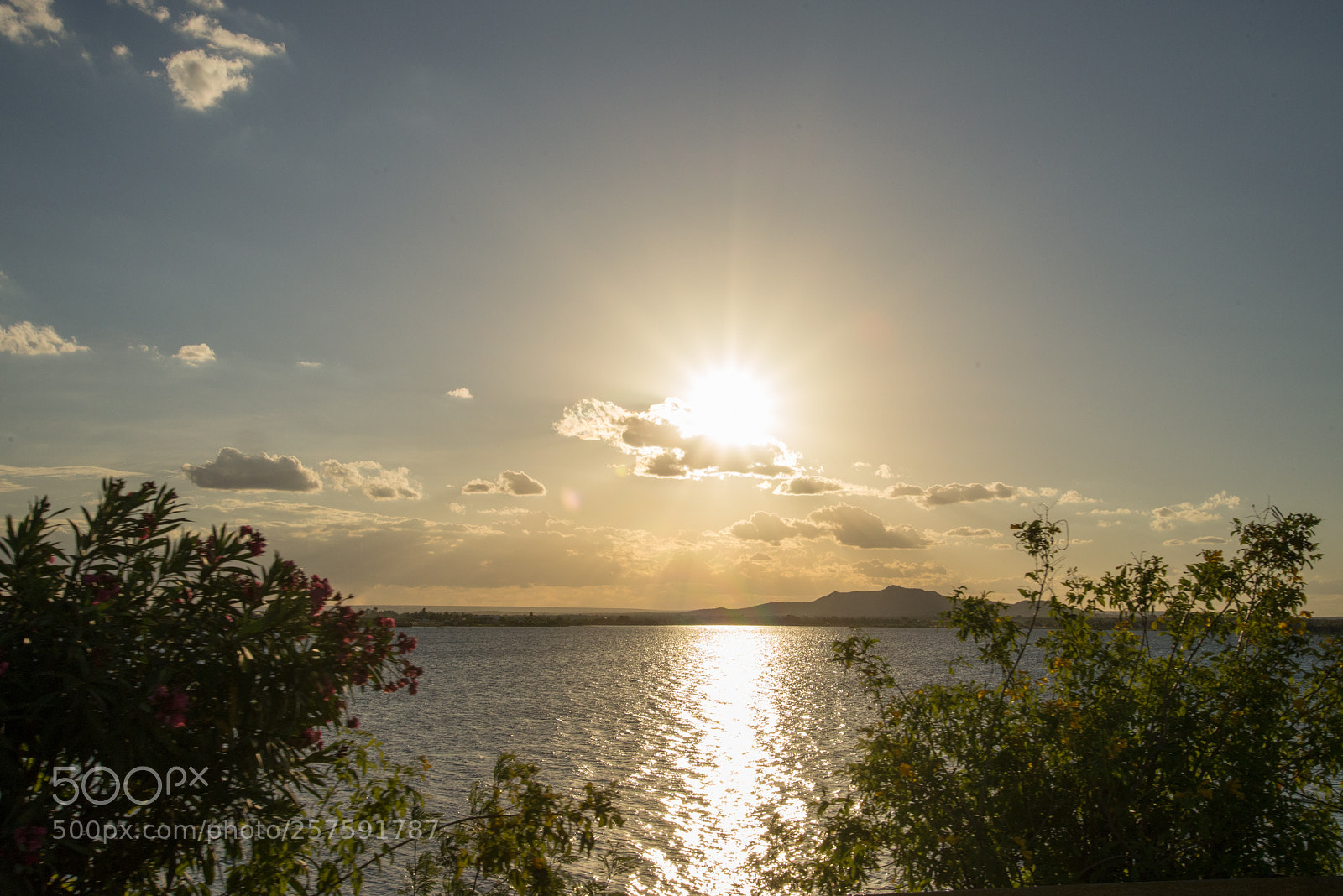 Nikon D600 sample photo. Paulo afonso photography