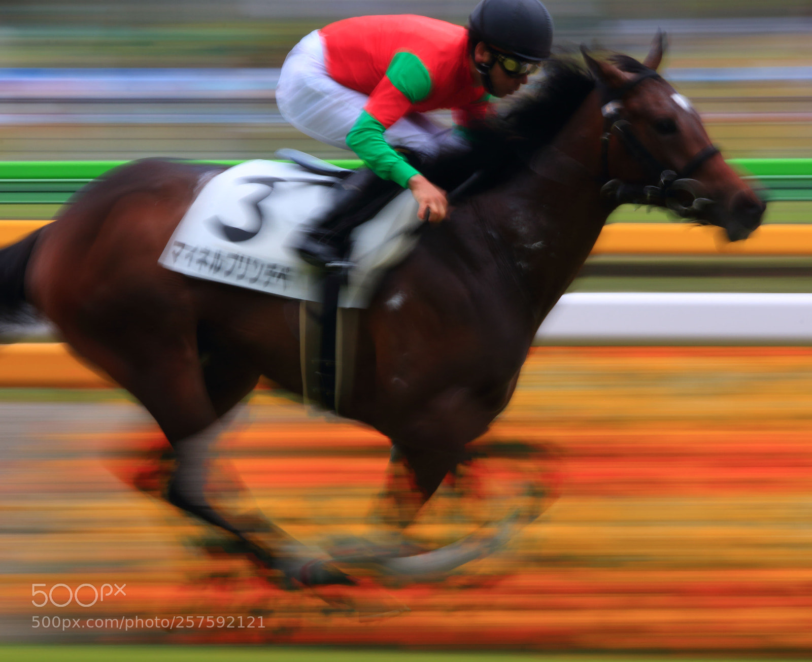 Canon EOS 7D Mark II sample photo. Horse race photography