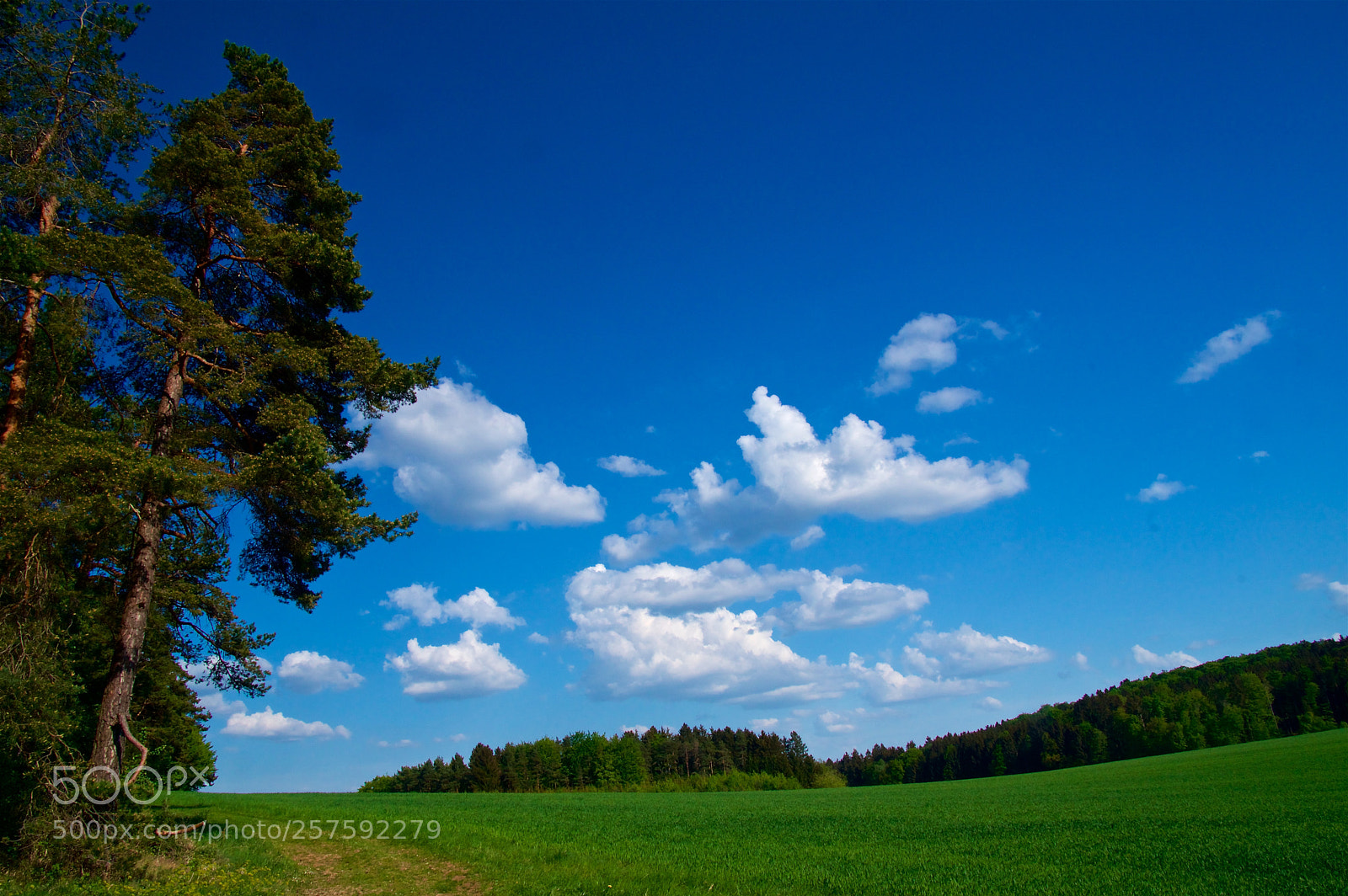 Pentax K-3 II sample photo. Spring landscape photography
