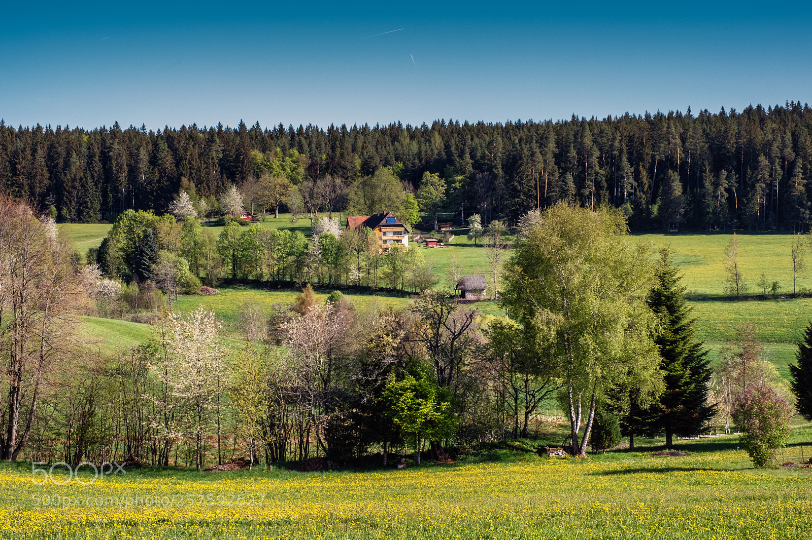 Fujifilm X-T2 sample photo. Black forest - germany photography