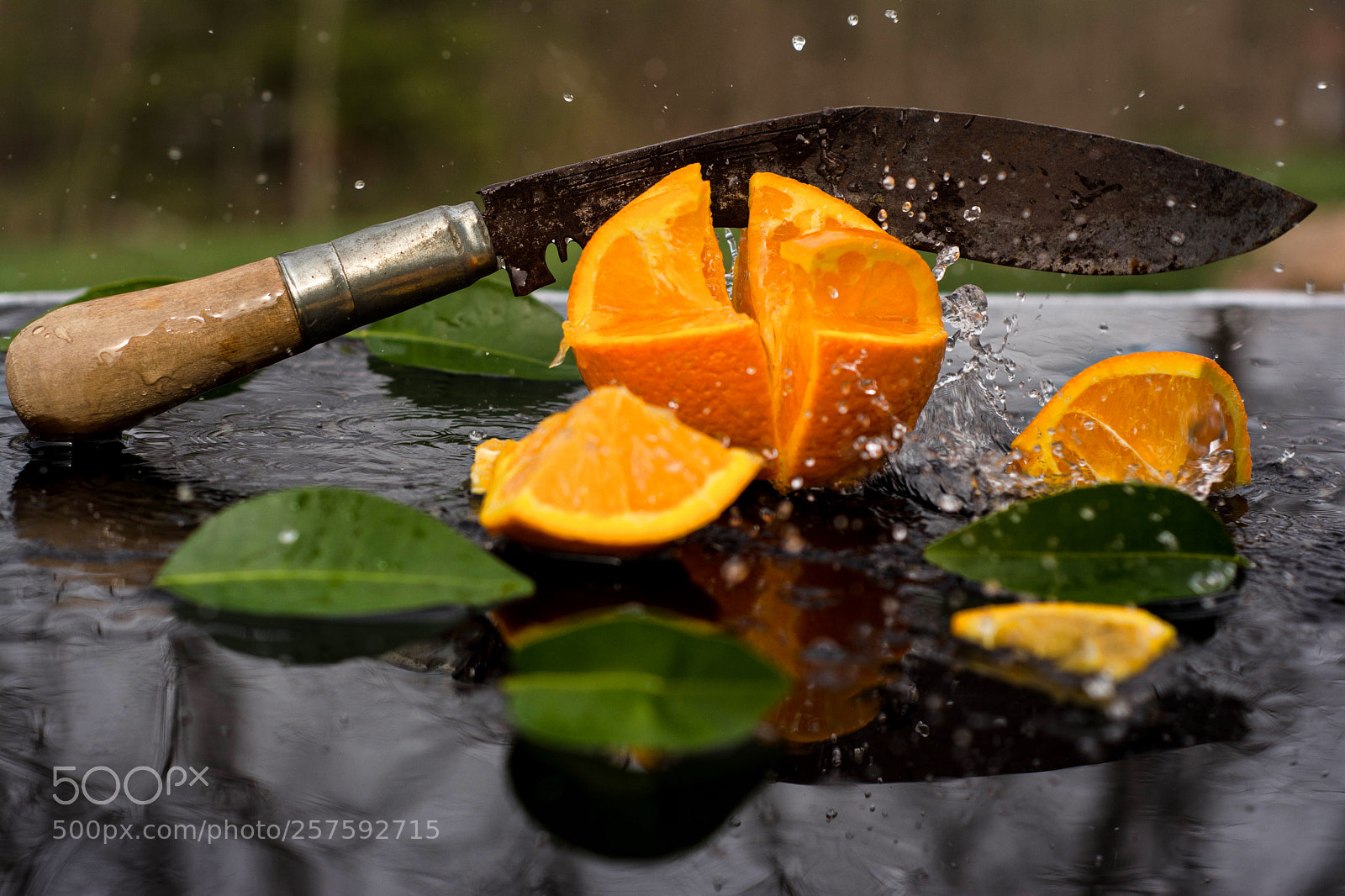 Nikon D7100 sample photo. Untitled photography
