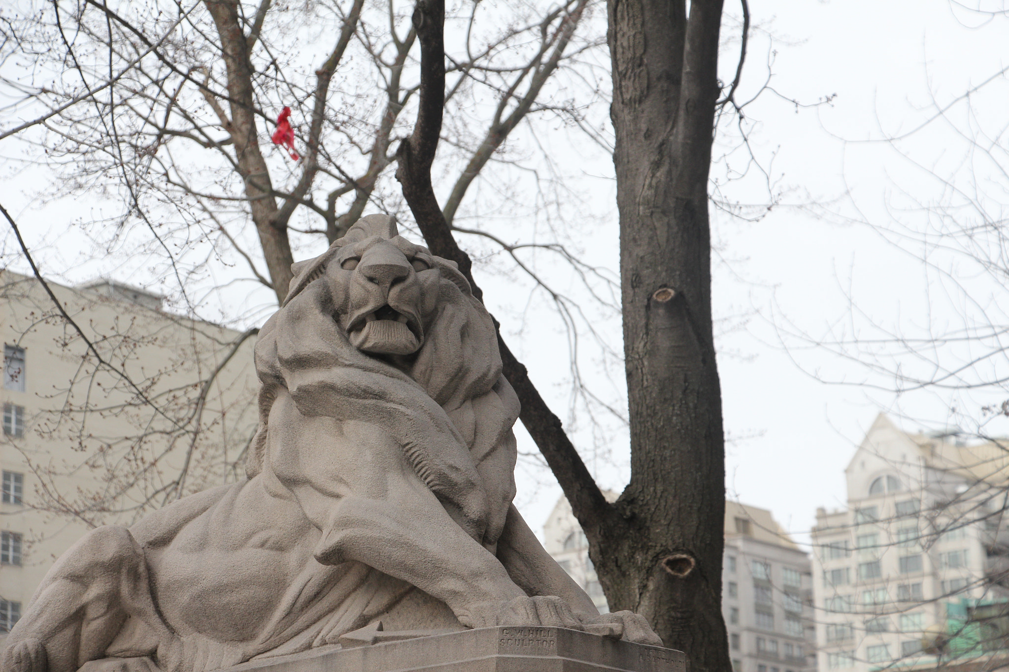 Canon EOS 700D (EOS Rebel T5i / EOS Kiss X7i) sample photo. Img photography