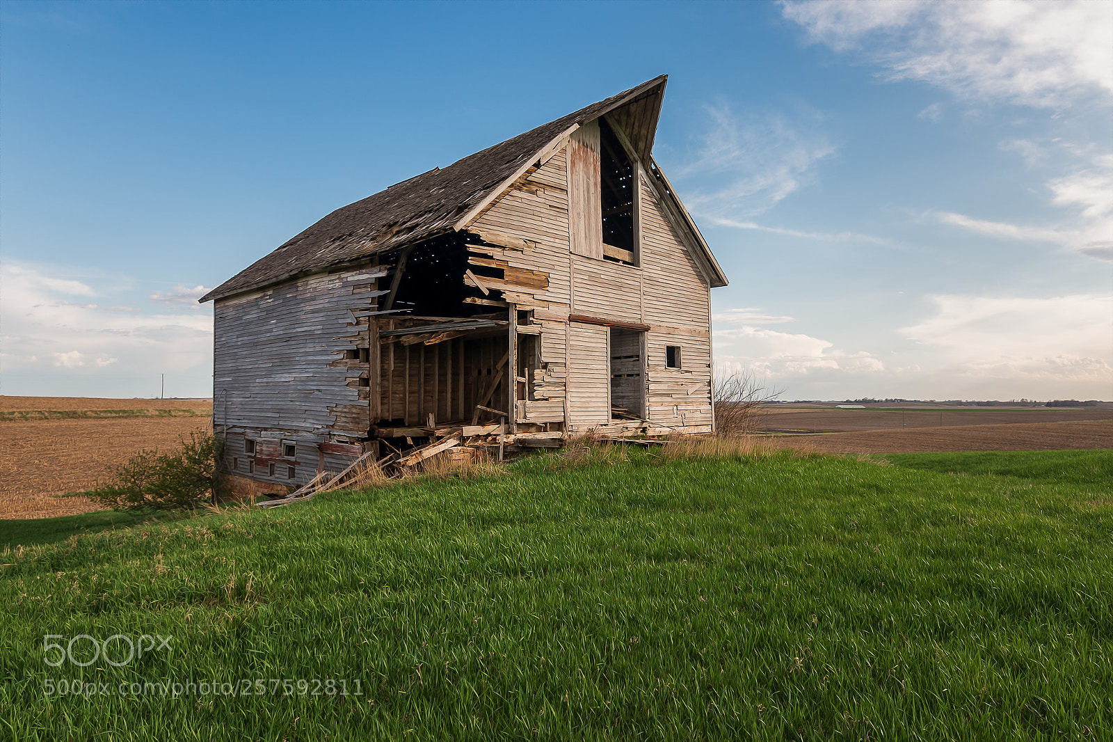 Nikon D750 sample photo. Take another little piece photography