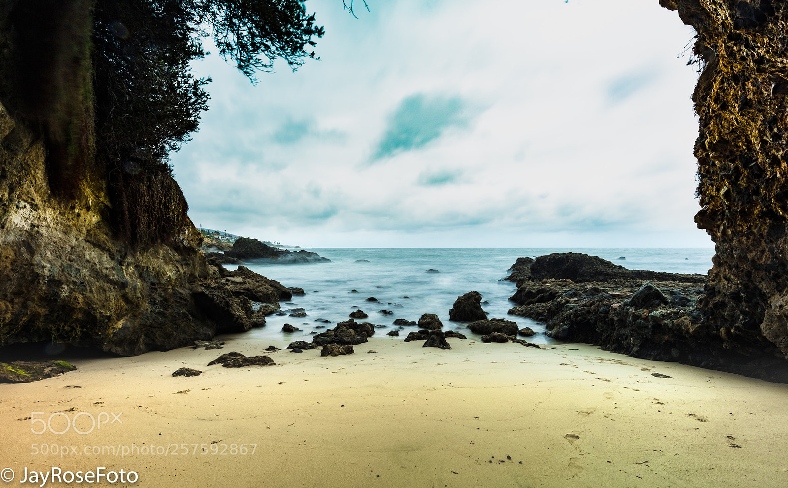 Canon EOS 5DS R sample photo. Cactus point lg  photography