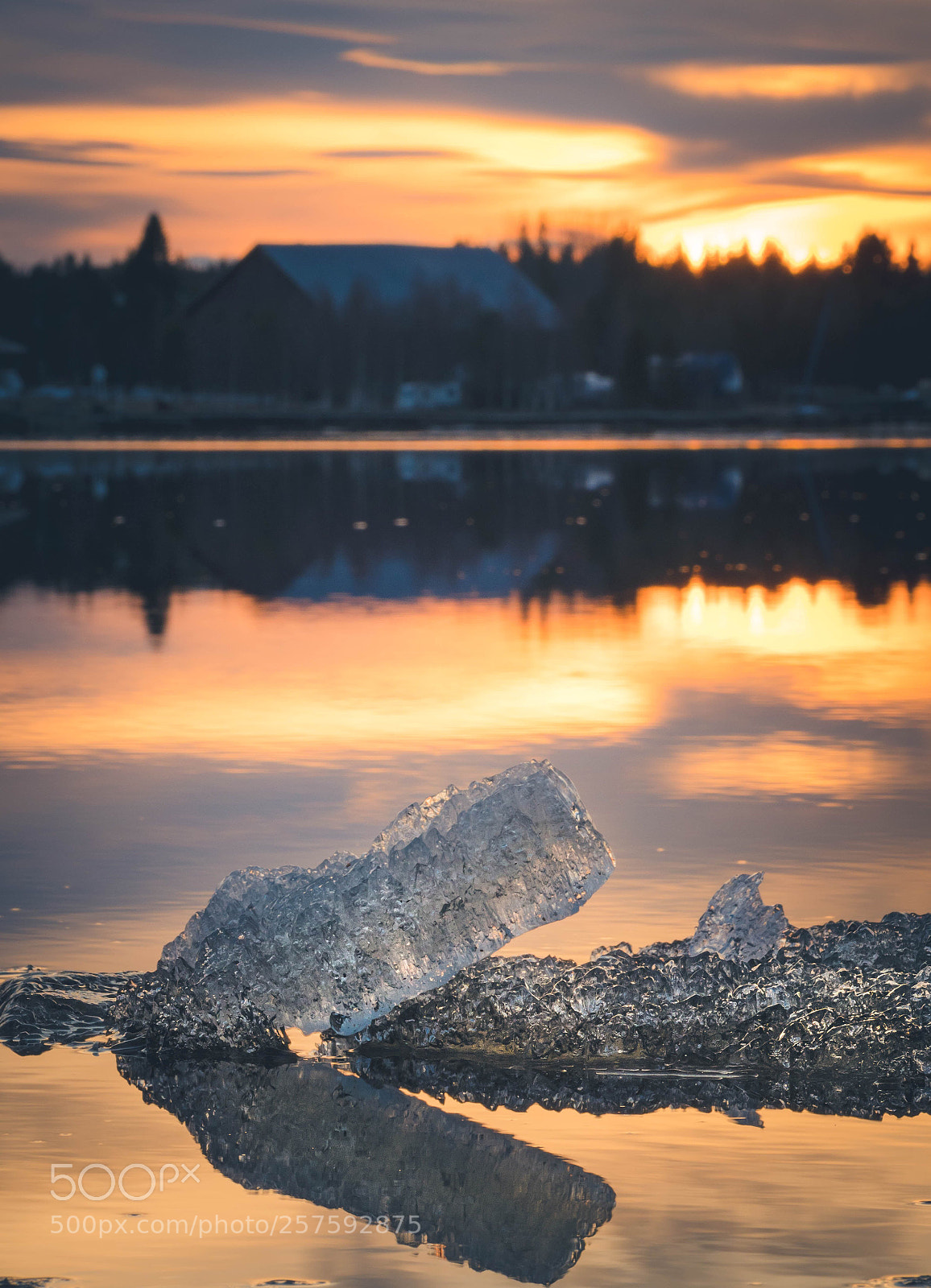 Olympus OM-D E-M1 Mark II sample photo. Sun and ice photography